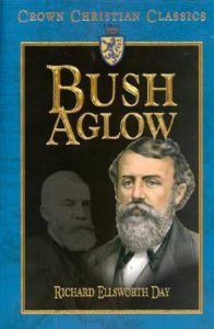 Bush Aglow (D L Moody)